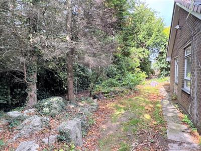 Picture 17